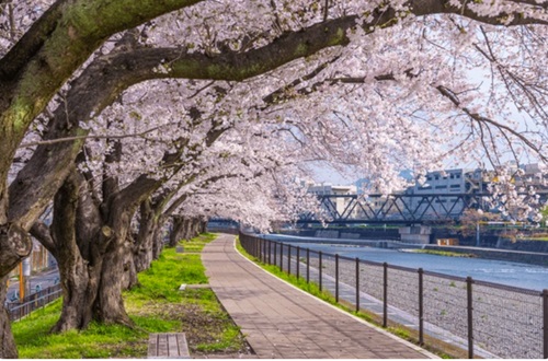 The Four Seasons of KAMOGAWA-river