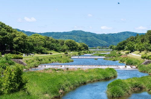 The Four Seasons of KAMOGAWA-river