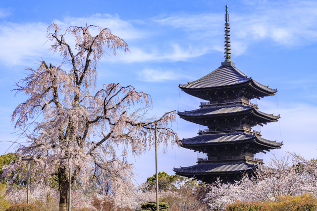 東寺